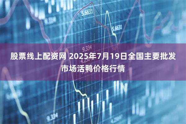 股票线上配资网 2025年7月19日全国主要批发市场活鸭价格行情