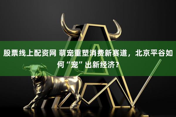 股票线上配资网 萌宠重塑消费新赛道，北京平谷如何“宠”出新经济？